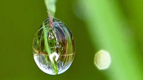 凡人凡举凡思|人生最艰难的成功，不是超越别人，而是战胜自己