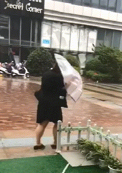 小谷阳|“刚收的，一个老人说是老辈从皇宫带出来的，谁知道是干什么用的？”哈哈哈