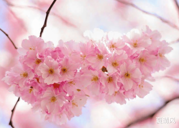 夏晴风|不想余生悲凉，就不要嫁给这些男人，嫁了后早晚会后悔