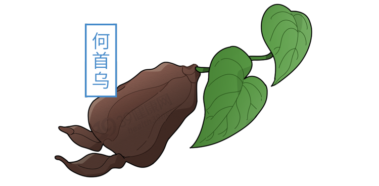 39健康网|长出来的白发，还能变黑吗？中医、西医2种方法，“养”出乌发