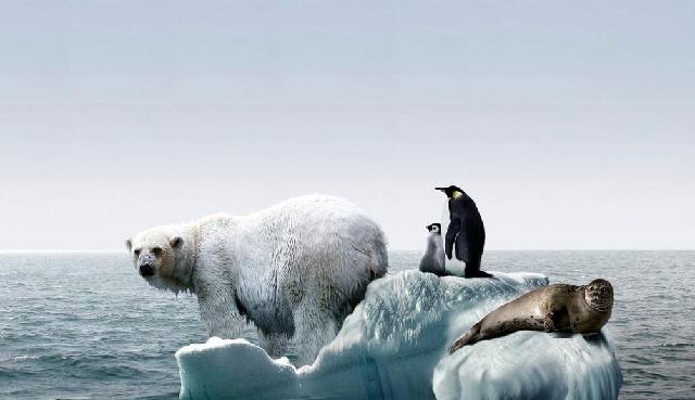 霍金 2021年灾难接踵而至，连沙漠都发大水，霍金的预言真要实现了吗？