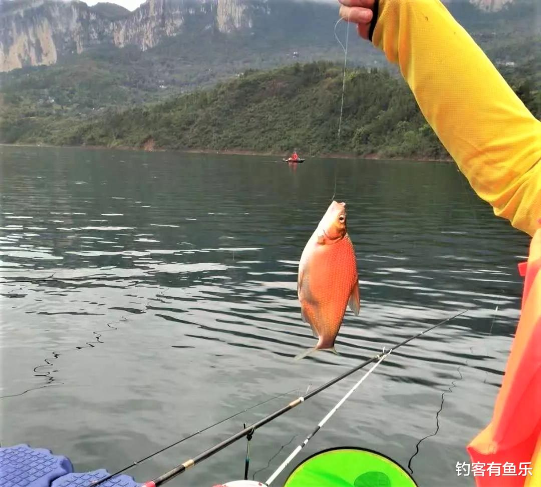饵料|钓鱼时怎样选择子线的长短？使用浮漂的大小跟鱼竿的长短有关系？