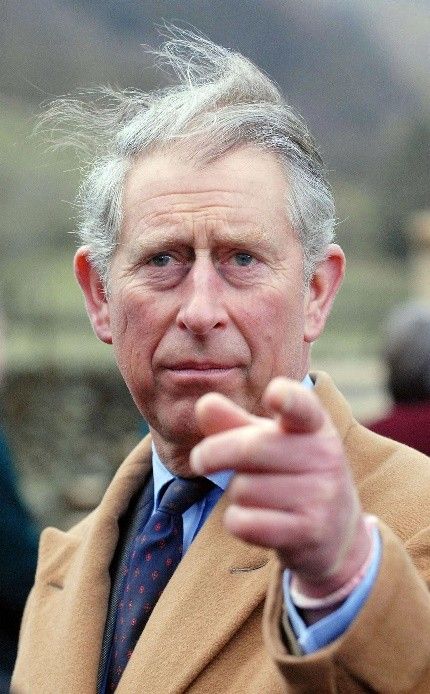 戴安娜|查尔斯第二情人：6封情书纠缠22年或有私生子，卡米拉未必是真爱