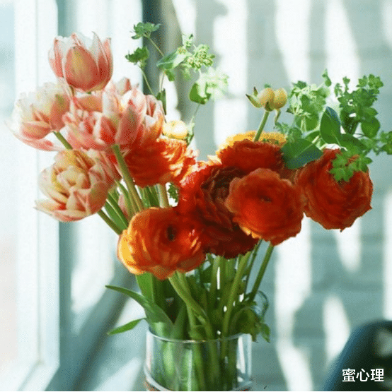 蜜心理|心理学家：经常和你说这3句话的人，表面一套，背地一套
