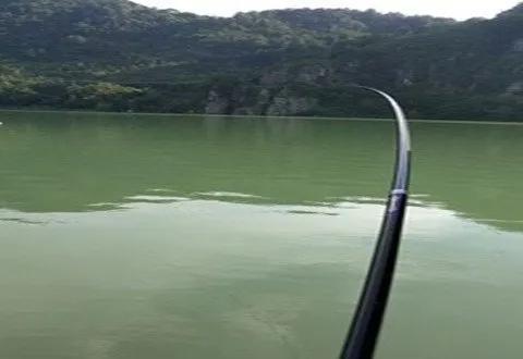 水库|解析初夏野钓水库的技巧
