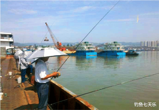 马孔|长江禁用渔具名录来了，四种钓具不能再用！钓鱼人该注意什么？