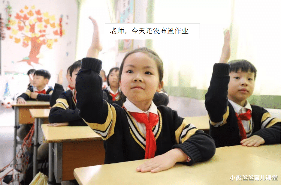 小微爸爸育儿课堂|如何用一句话得罪全班同学？一句比一句狠，网友调侃：过分了