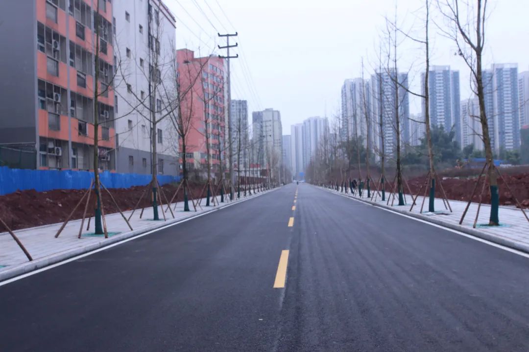 富顺快报 富顺又有大动作！这条路即将通车，快看看经过你的家乡吗？