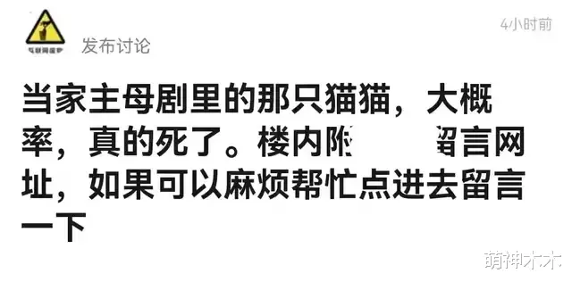 当家主母|《当家》群演发声了！称猫被电死当天就埋了，同场演员删评不回应