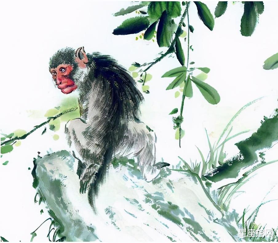 生肖|财大气粗,出手阔绰的四大生肖,职场中鹤立鸡群,特别招人羡慕