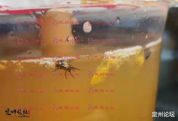 定州论坛 河北定州：这家饮料店真“良心”，买百香果赠送“绿豆蝇”！