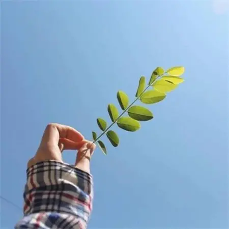 于浩讲故事|让我恐惧的不仅仅是未知，大部分源于自己的无知