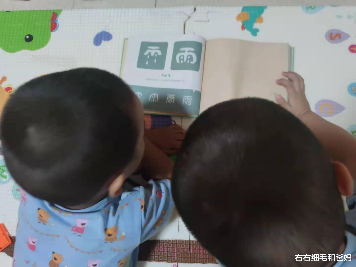 右右细毛和爸妈|“我家3岁孩子认识200字”,识字也要内卷?识字APP靠谱吗?