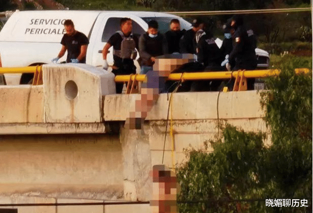 养殖户 高架桥下吊着6具尸体,衣服被扒光,死前都遭受过酷刑