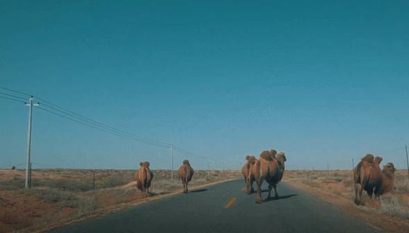 全球变暖 地球变暖或停止，新冰河时期马上来了？科学家：可能面临变冷威胁