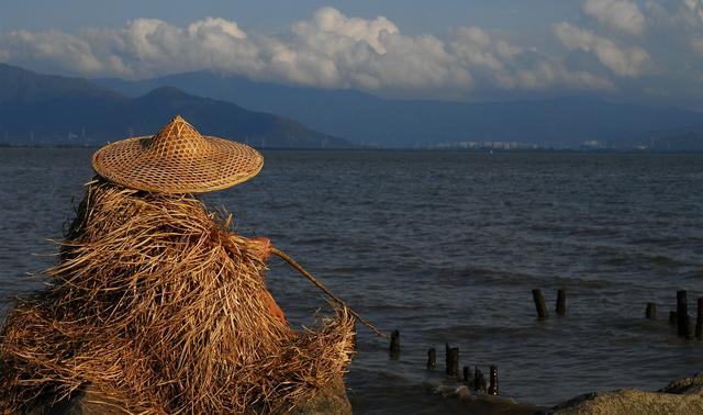 水库|只有钓鱼人明白的打油诗，句句戳进心窝
