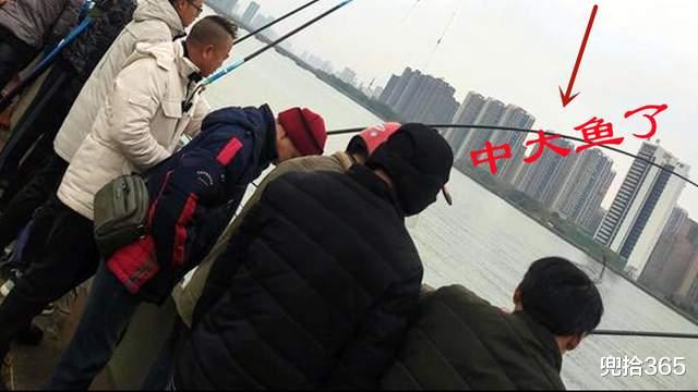 疯狂|疯狂的钓鱼人!四川一河边聚集成百上千人,网友:事出反常必有妖