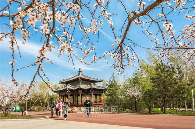 哈尔滨新闻网 好多美图｜景美人少不堵车，香坊10个免费大公园五一来逛逛