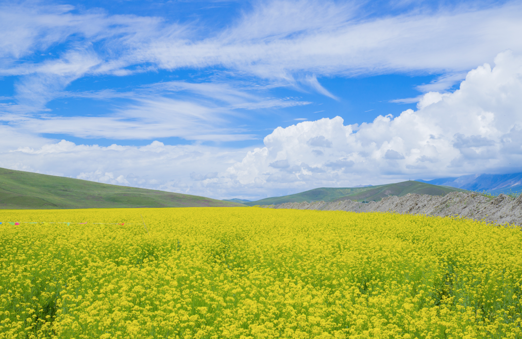 西宁|被预言下一个“瑞士”，这个夏日均温20°C的宝藏地，刘昊然都来打卡！