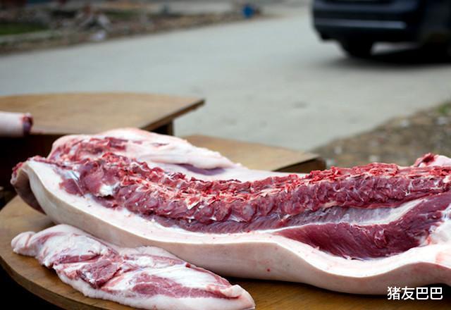 三元 肉价、粮价来袭：5月9日，猪肉“廉价”，玉米价格横盘要上涨？