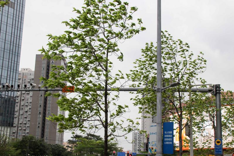 羊城派 一天降温超过10℃,22日广东还将持续受到冷空气影响