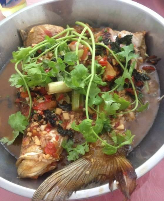 水库|湖北钓友水库里钓了许多“红尾餐”，钓鱼人：吃起来全是刺