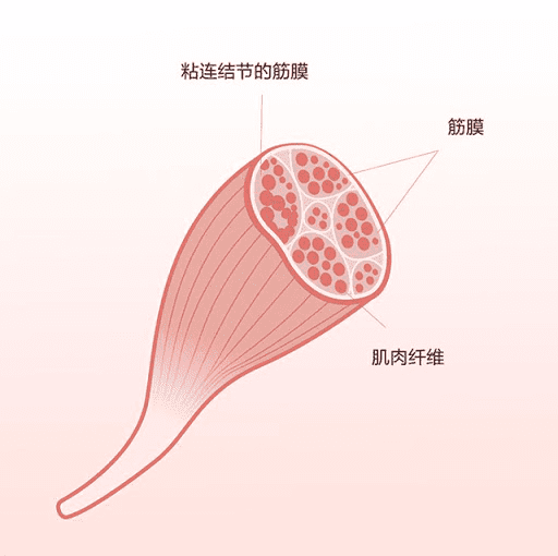 二郎腿|为什么这些姿势这么爽？舒服是真的，毁人不倦也是真的！