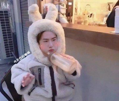 王一博|营业了！王一博官宣博换头像，喜提热搜，幼崽模样逗趣可爱