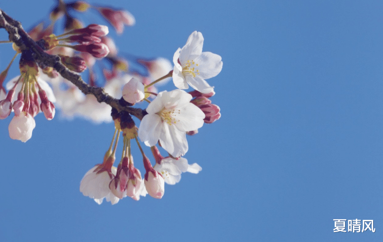 夏晴风|不想余生悲凉，就不要嫁给这些男人，嫁了后早晚会后悔