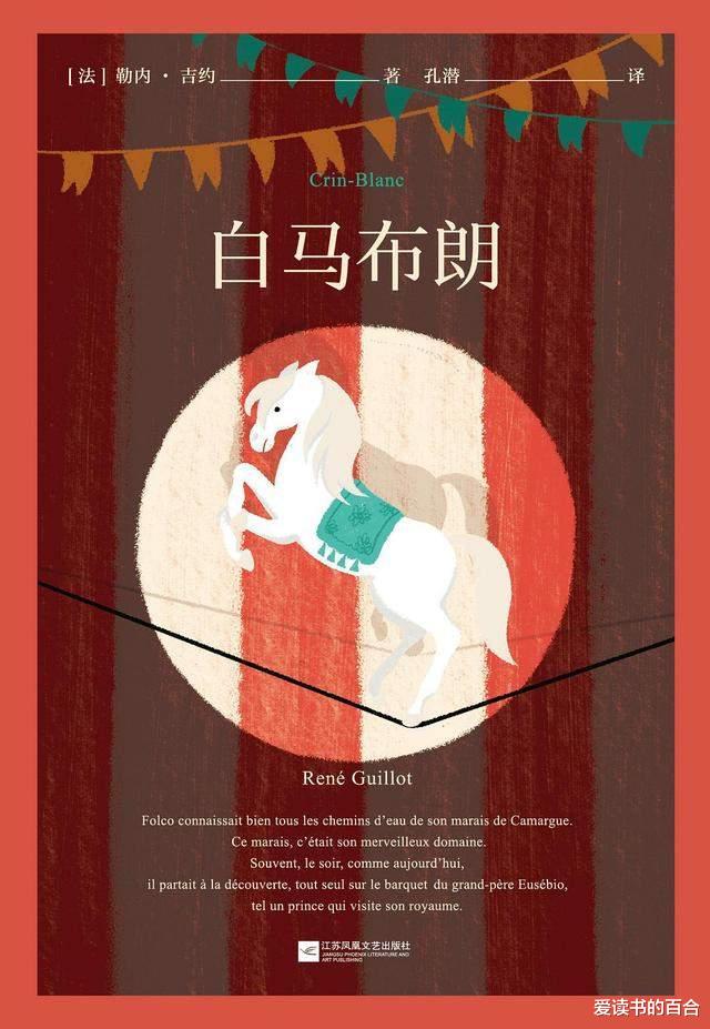 爱读书的百合|父母给孩子最好的教育,从灌输正确的三观开始