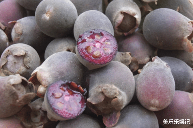 重金属|农村即将“消失”的野果子,吃过4种正常,全吃过的说明您真老了