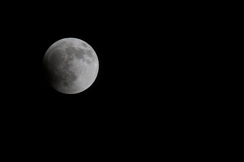 黑色星期五|黑五 |让美国人疯抢的产品竟然是它？！