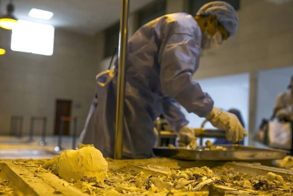 白羊座|你想进入事业单位吗？这个冷门岗位待遇非常好，大专生也可报考