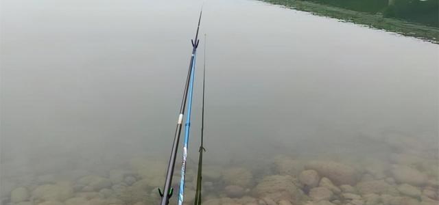 广东省|广东一男子小河里野钓无果，直接在河边打野，网友：真正的河鲜