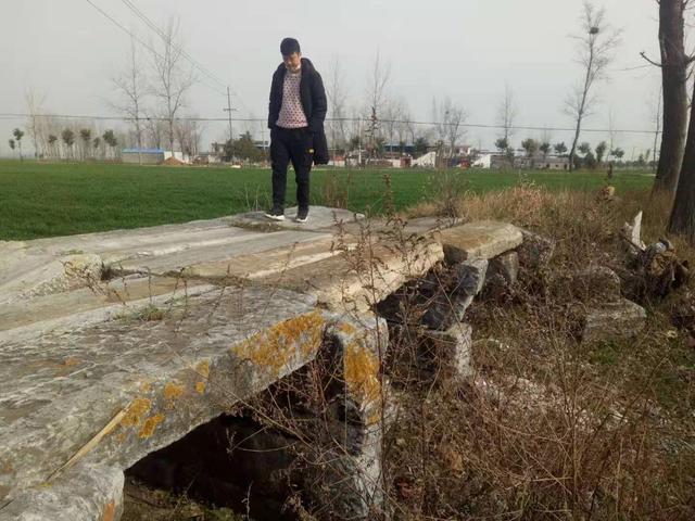 南阳日报 从在外游子到扎根故土者，从网络文章到出书结集，这一群人——用文字记录乡音乡愁