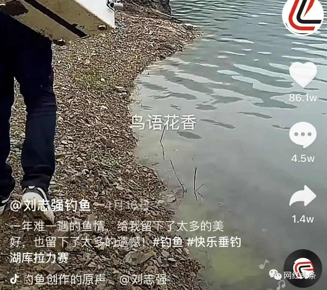 刘志强|钓鱼也能火！两年全网粉丝过千万，钓鱼界头部网红刘志强的涨粉秘籍