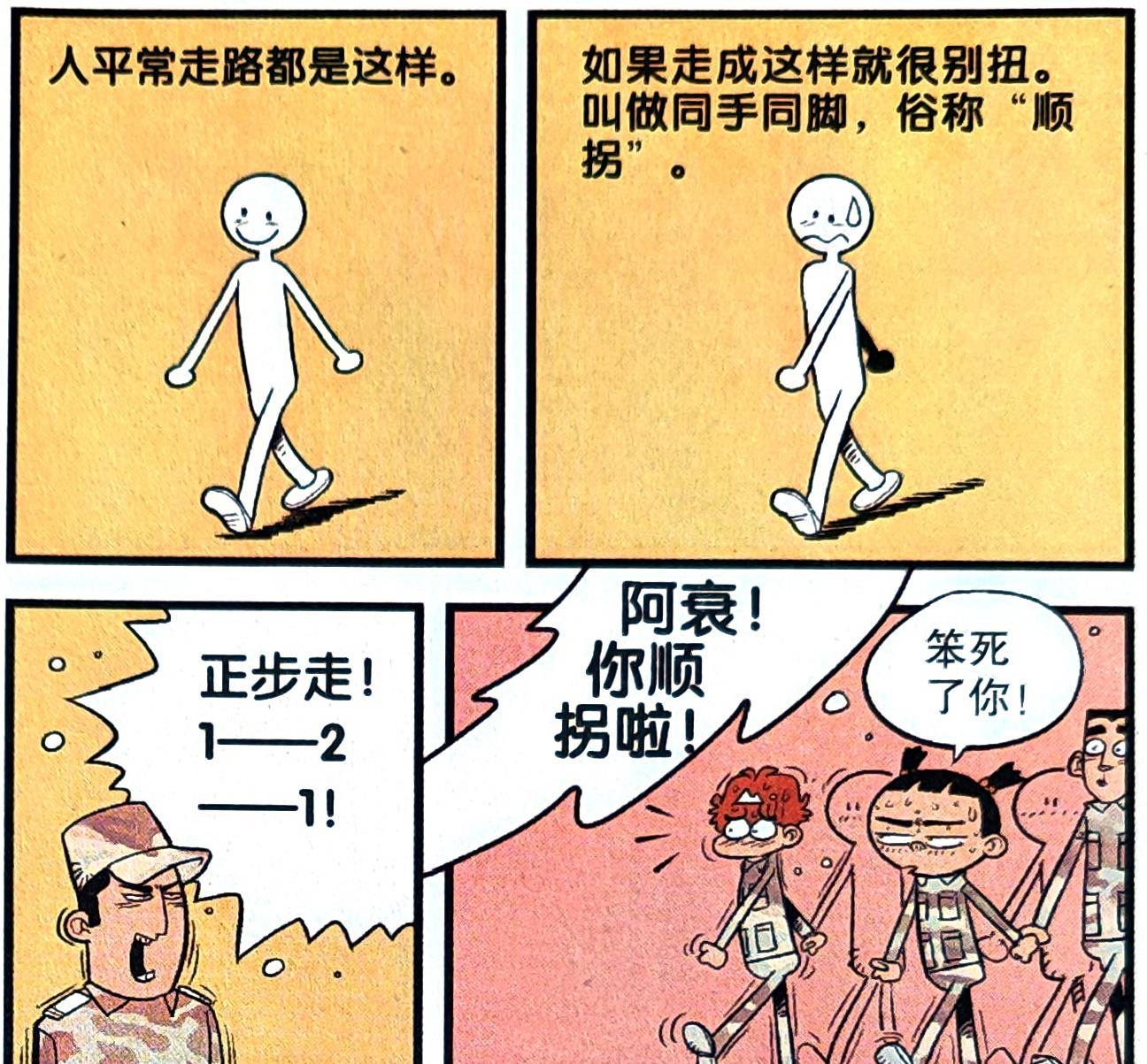 海賊王|小衰的“作弊手法”登峰造極，暗中使用“偷懶魚線”應對艱苦訓練