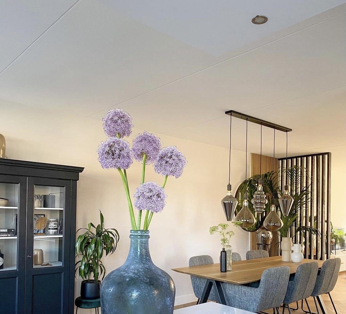 在她家,我看见了岁月静好的模样!门前庭院,绿树成荫,美极了!