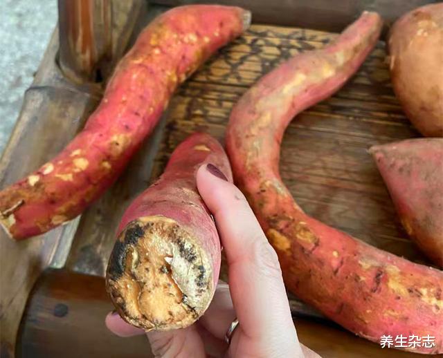 养生杂志 19岁少女甲状腺结节恶化,只因父母煮粥爱放1”物“,医生:无知害了孩子