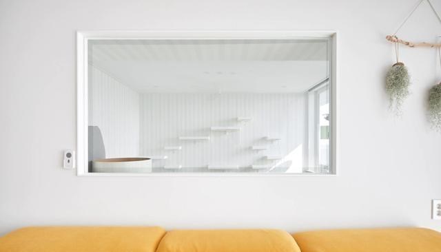 176㎡有对双胞胎女儿+3只小猫,住大平层宽敞整洁,生活也很轻松