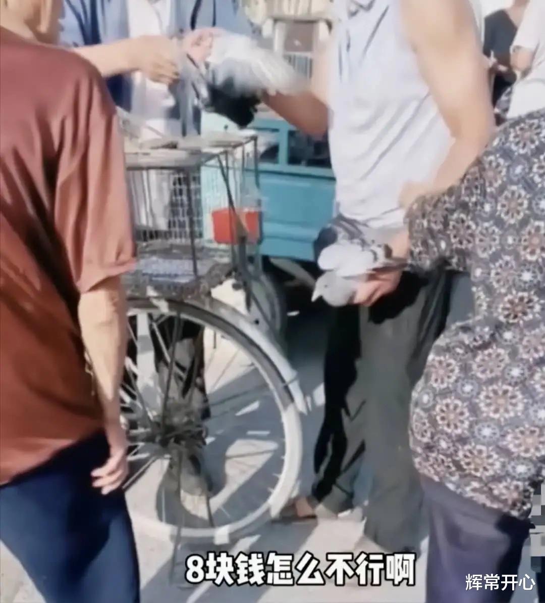 浙江省|山东一老人集市上卖鸽子，遇一男子强行压价到8元，老人不卖险些被推倒