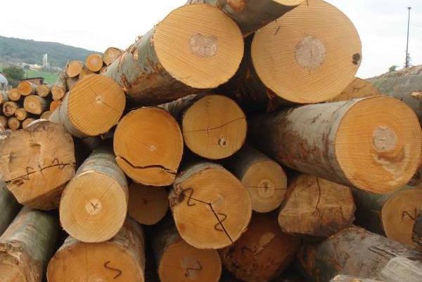 7种比较特别的地板木材,装修小知识