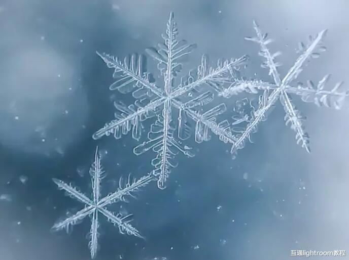 摄影技巧|11个摄影技巧，帮助你拍出高逼格的雪花照