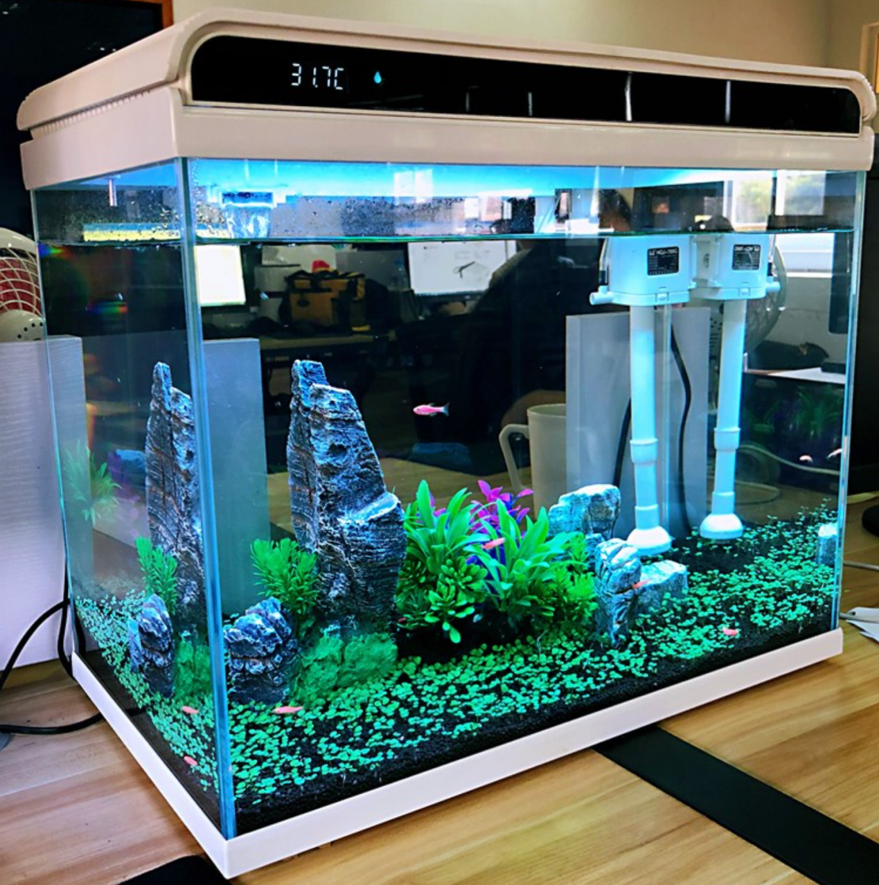 3D打印|广西小才狐嵌入式系统开发实例分享：生态鱼缸(热带观赏鱼)智能硬件设备产品