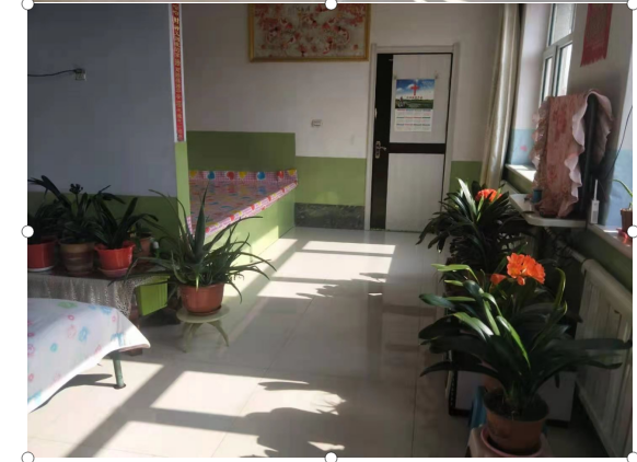 长春妇联 【共建美丽家园 喜迎建党百年】看看这些公主岭的“示范户”，我慕了！