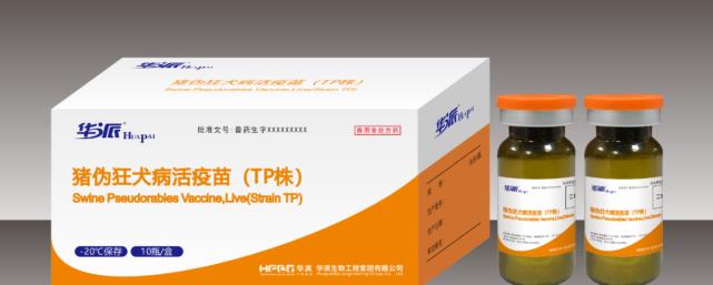 火山 我国猪伪狂犬病的感染压力依然很大