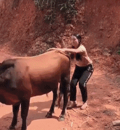 乔杉|“姑娘发自拍，就别让男友戴墨镜了，你的秘密都被曝光了”哈哈哈