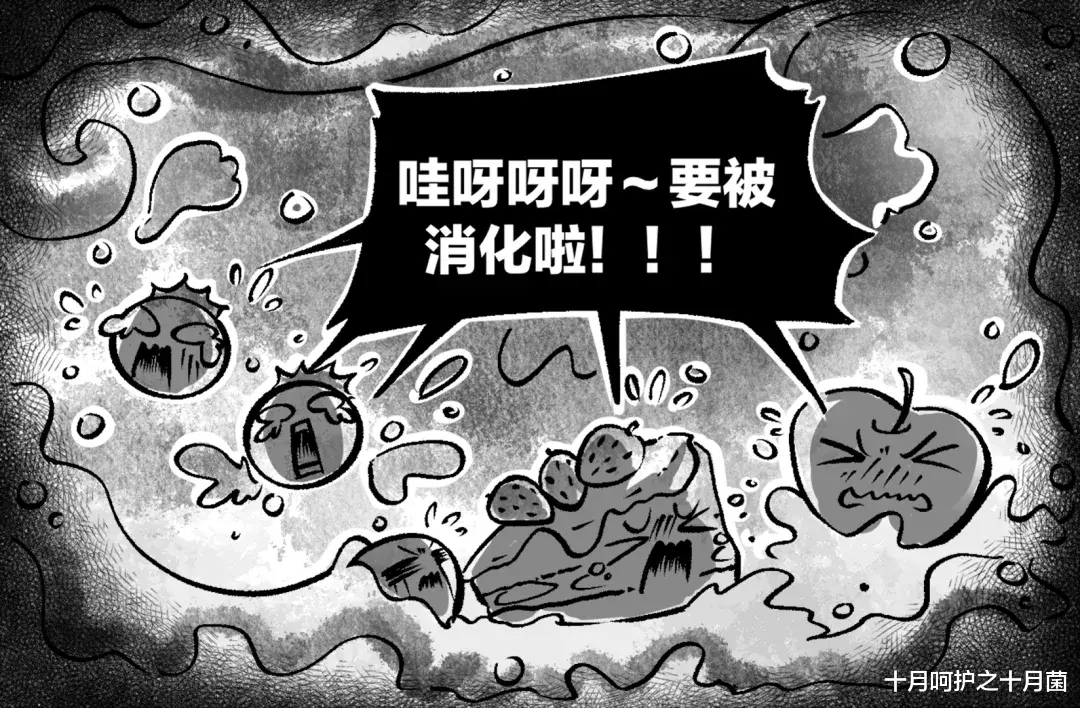 十月呵护之十月菌|4岁前别让孩子这样拉屎！特别伤屁股，小心便秘又肛裂