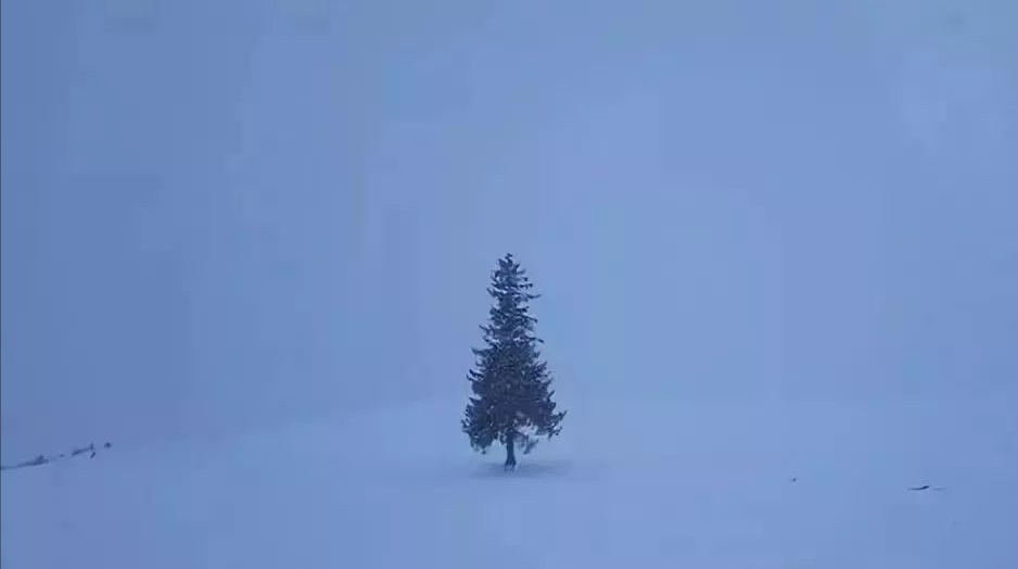 无论在哪里拍雪景，基本都逃不出这9种手法