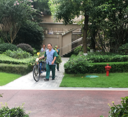 乐山|突击：我们暗中实查了时代青江小区的物业工作！